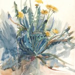 Dandelion plant 95 by Alice Gouvy. Watercolor on paper; 54 x 36 cm. Bib ID 89006.