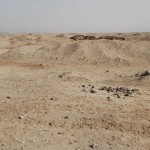 The area of vitrified mud-brick on surface at M50.15-16 and the ruins of the houses, looking north towards the house of Ranefer. Photo credit: Anna Hodgkinson