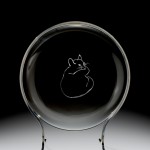 The Cat, Isamu Noguchi, Steuben Glass Inc, Corning, NY, 1939. Gift of Harry W. and Mary M. Anderson in memory of Carl G. and Borghild M. Anderson and Paul E. and Louise Wheeler. 89.4.31.