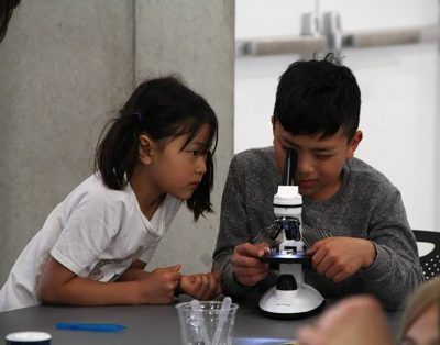 Little sister waited for her turn to use the microscope to look at a slide of a mealworm she prepared. Her brother inspected a grasshopper under the microscope.