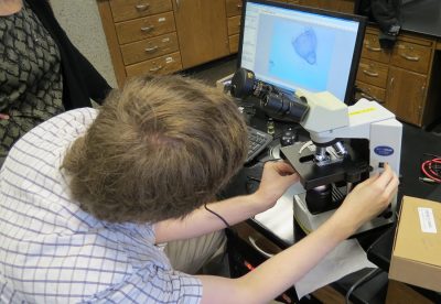 The background images of microscopic specimens were captured by Nick Jividen, a recent graduate of Corning Community College. Nick used a microscope outfitted with a digital camera to photograph various specimens.