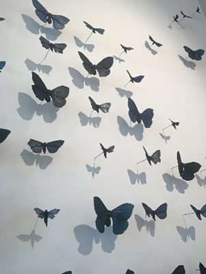 Alli Hoag, The Lepidopterist’s Conundrum