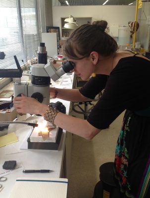 Bonnie looks through the microscope to see more surface detail of one of the materials we treated in the lab this summer. Microscopes and photographs taken through them (photomicrographs) can help us better understand our materials and specific condition issues associated with them.