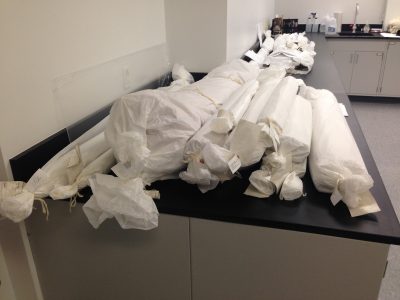 Rolls of objects in the Preservation Lab waiting to be unrolled fully for the very first time!