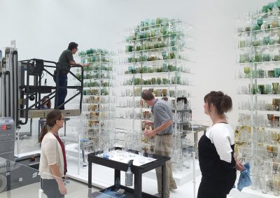 The Collections & Exhibitions team clean the elements of Forest Glass.