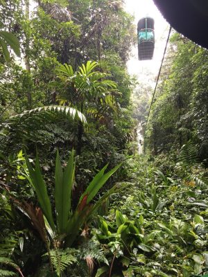 Arial tram in the Costa Rican rainforest