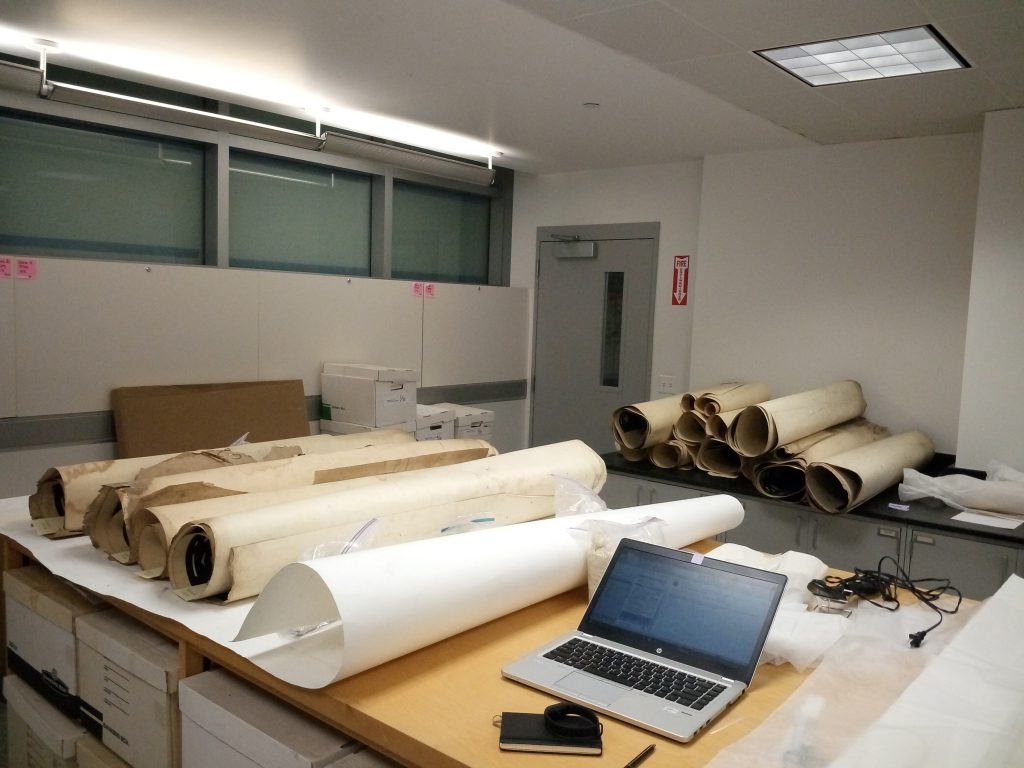 Several rolls in the conservation lab