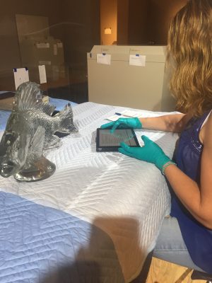 Brandy Harold, Registrar, checks the fish’s condition upon arrival against the condition documented before leaving CMoG to ensure that no damage occurred in transit.