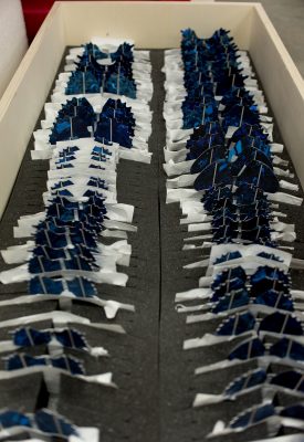 Virtue of Blue butterflies prior to assembly.