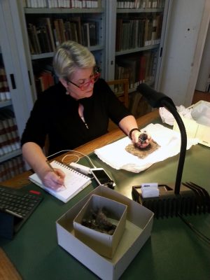 Examining the Torrita di Siena bottle in the library of the National Archaeological Museum, Florence, Italy.