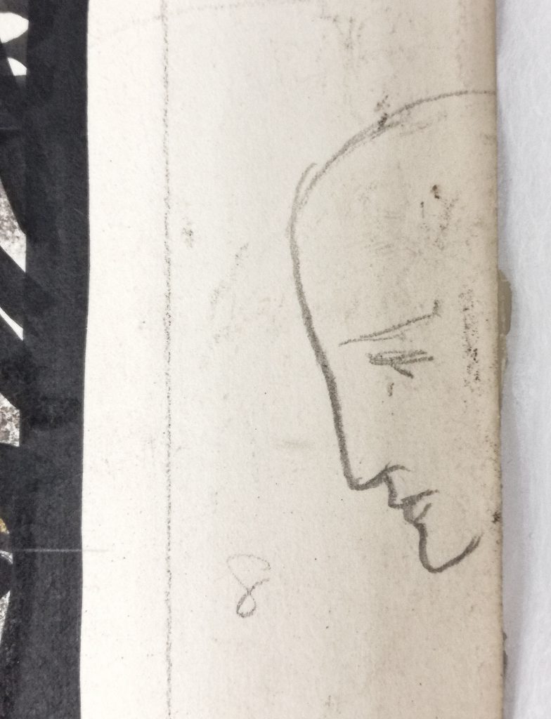 Detail of a face in profile